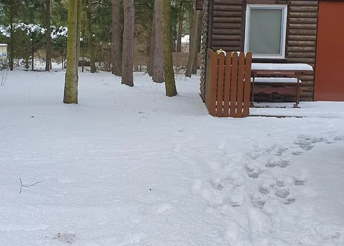 Domek Nad Narwia